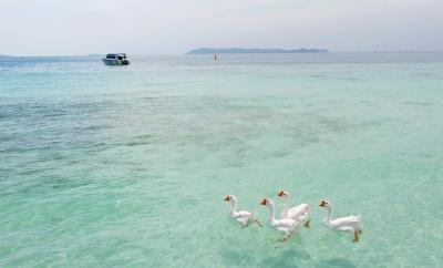 Thailand Tour Agency