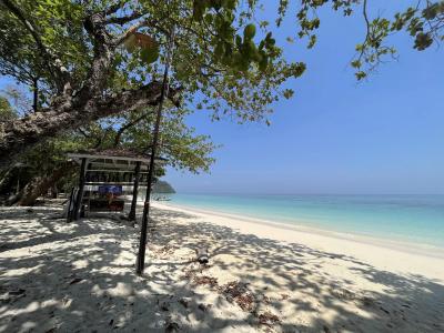 Thailand Tour Agency