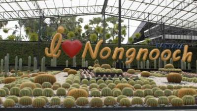 Thailand Tour Agency