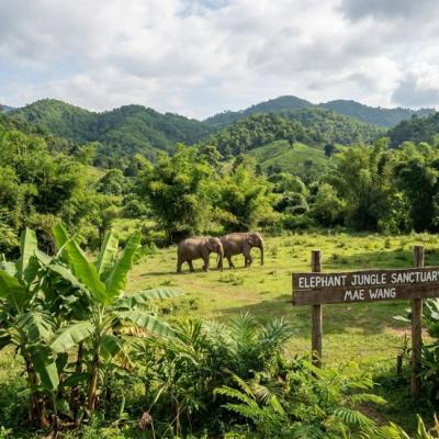 Thailand Tour Agency