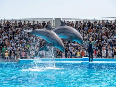 Thailand Tour Agency