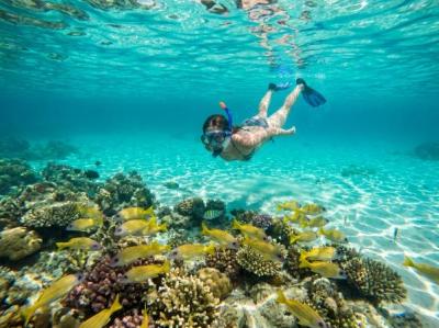 Thailand Tour Agency